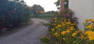 Agriturismo Muristene img18