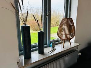 Beautiful villa close to beach and nature