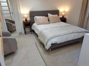 Maisonnette au milieu des pins