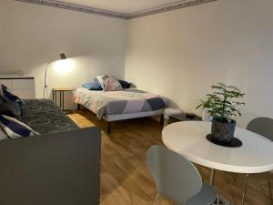 Appartements Manuezen studio tres fonctionnel au calme : photos des chambres