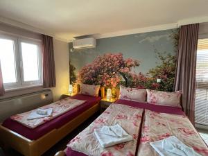 Apartmani "MARIJA" Golubac