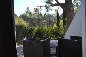 Double Room with Terrace room in Hotel Misty
