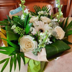 Appartements FACE ECOLE DE VOILE LA PLAGE A 50 metres : photos des chambres