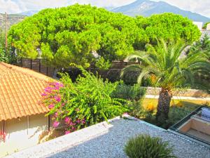 Double or Twin Room with Garden View