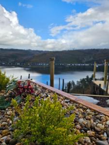 Viña Candaz By Oktheway