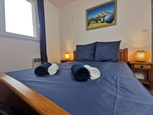 Appartements Le Repos du Canal Wifi Parking Piscine Terasse : photos des chambres