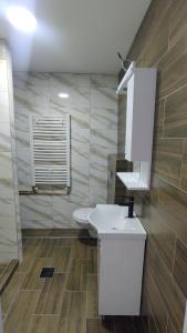 Apartman BIG 2 Novi Sad