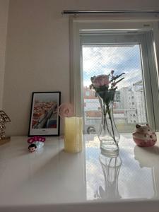 东京巨蛋演唱会 超大露台，网红公寓，整套房源，适合情侣度假，商务旅游