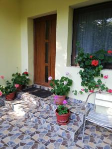 Casa Din Padure