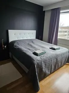 Miller Apartment - Free parking, airport 21min - Ojakkala