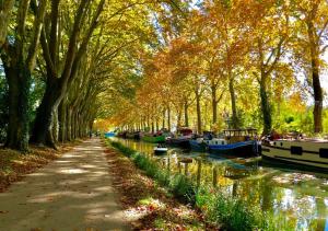Appartements Le Repos du Canal Wifi Parking Piscine Terasse : photos des chambres