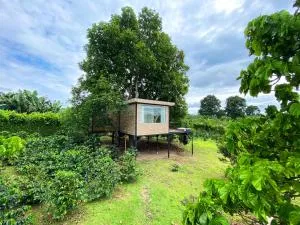 AIA Glamtree - La Palmita