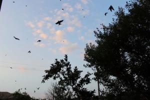 Rustic House Prima Priori