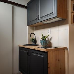 Studio apartment with sea view