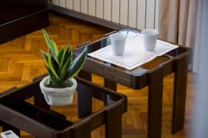 Apartman Ljerka 