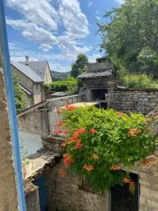 L’échappée belle, vue panoramique sur la campagne - Sévérac d' Aveyron