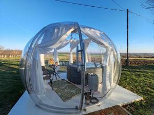 Buby - végtelenbe és tovább