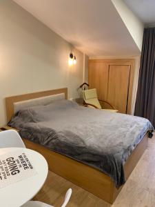 Bakuriani inn Apartment