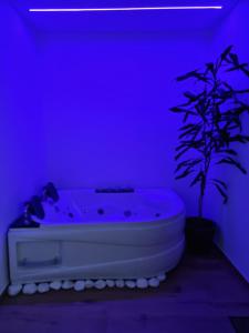 Jacuzzi Katowice - Green room