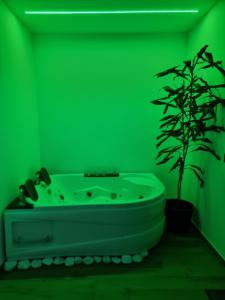 Jacuzzi Katowice - Green room