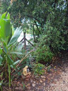 Cabaña Artemisa Biloba