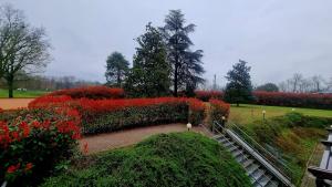 Hotel Villa Delle Rose - Malpensa