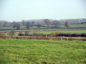 Lime Cottage in the Heart of the Cotswolds.