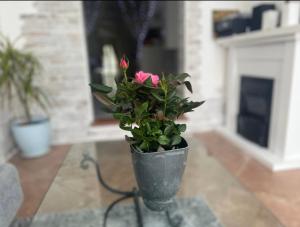 Casa di vacanza "San Nicola" img13