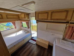 Green camp & Sports Pri Popa