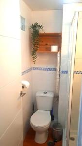 Central Studio #409 near Beaches &free WIFI