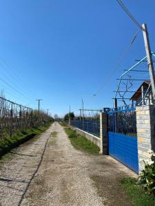 Bert-House close to the sea