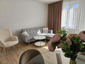 Regal Diamond Centro by Clabao