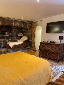 B&B / Chambres d'hotes Chateau du Puech : photos des chambres