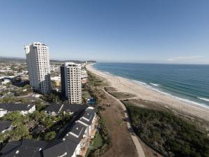 Princess Palm on the Beach