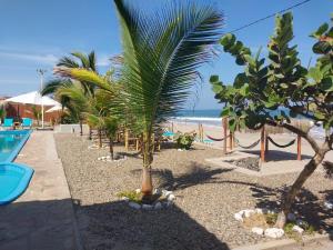 Casuarinas del Mar Habitacion Cerro 2