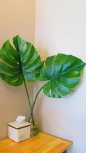 Fall Asleep hotel - Ban Bang Khwang