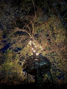 NIDU Cabañas Boutique & Holística