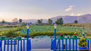 Houseboat Wild Rose