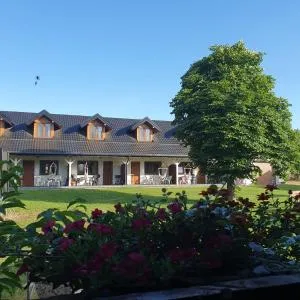 Siedlisko U Ani - 戈斯蒂宁