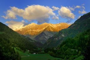 Pension Alpenhof