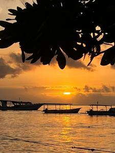 Coco Homestay Bunaken