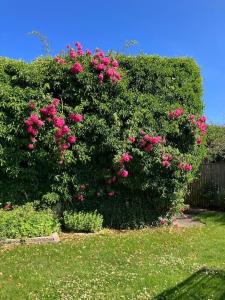 Nyd den skønne natur ved hav og fjord