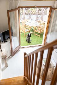 Maisons de vacances Maisonnette au calme : photos des chambres