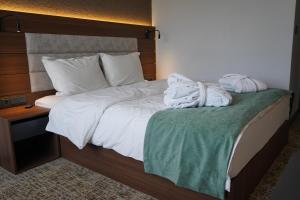 Double or Twin Room with Garden View room in Kirci Termal Hotel