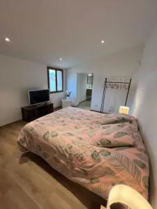 Le Cabanon de Pépé - 福卡尔基耶