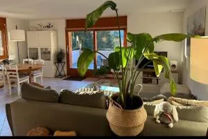 Spacieux et cosy à Ovronnaz - Chamoson