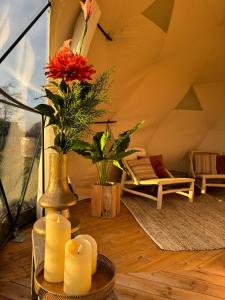 TinyParks Eiland Tiengemeten