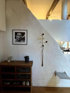 Spacious Penthouse close to center