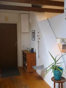 Spacious Penthouse close to center