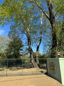 Hotel Yavuz Bungalow